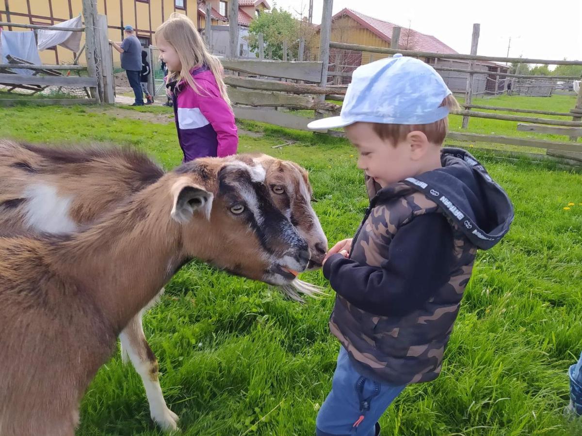 Pensjonat Przy Stajni Kierzkowo  Exterior foto