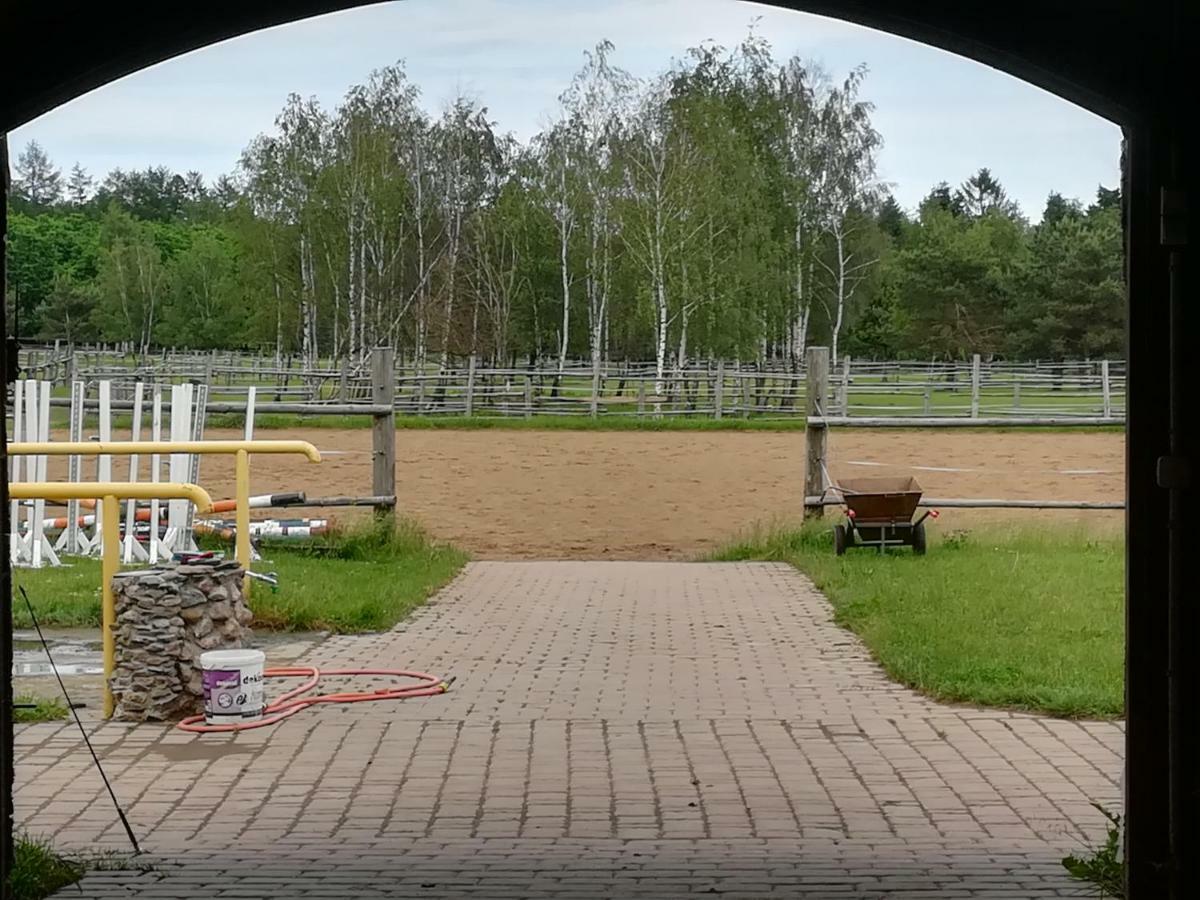 Pensjonat Przy Stajni Kierzkowo  Exterior foto